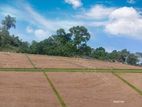 New Lands for Sale in Aluthgama (කළුතර)