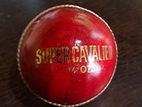 Leather Cricket Ball