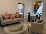New Luxurious Fully Furnisheds Apartment Kotte Junction
