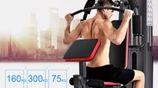 New Pull Dip Chin Up Station Bench Home Gym Dumbbell Weight Plate Free