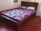 New Teak 72X48 Double Box Bed With DL Mattress