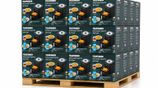 New Telefunken 5.5L Visual Airfryer _ Germany