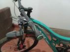 Mountain Bicycle