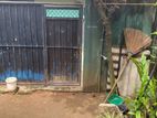 (NH552) Single Storey House for Sale in Colombo 08