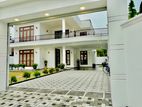 Nice Garden With Luxurious House Brand New All Completed In Negombo Area