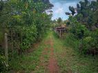 Land for Sale in Hallala