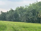 Nice View Land for Sale in Weligama -Code Add 832