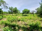 Nice View Land for Sale in Yala -Code Add 553