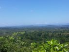 Nice View Point Land for Sale in Weligama -Code Add 147