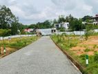නිදහස් පරිසරයක ඔබේ සිහින නිවහන තනන්න