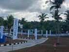 නිදහස් පරිසරයක ඔබගේ සිහින නිවහන තනන්න