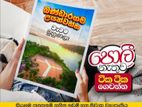 නිදහස් පරිසරයක් සමගින් විකිණිමට අගනා බිම් කොටස්