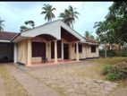 Nigambo Etukala Singal story house for rent ( R - 10)