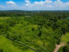 ￭ Nikaweratiya Farmland For Sale (NK11732)