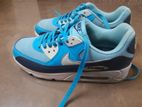 Nike Air Max Shoes