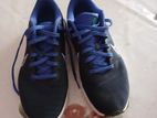 Nike Downshifter 12 Blue Colourway Shoe