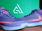 Nike Giannis Basketball shose