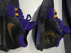 Nike Lebron Basketball Shoes