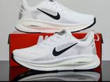 Nike Running Shoes