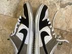 Nike SB Dunk Shoes