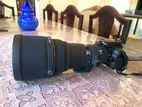 Nikon 300 f2.8 high end Wildlife DSLR lens