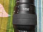 Nikon 70 - 300 mm Sigma Lens