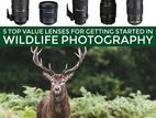 Nikon/ canon wildlife DSLR lenses