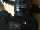 Nikon d3100