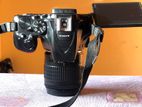 Nikon D5500