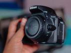 Nikon D5600