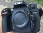 Nikon D7500 Camera