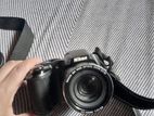 Nikon Megapixels 20.2