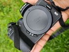 Nikon Z50 Mirrorless Camera