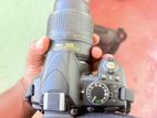 NikonD3100