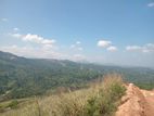 Nilamba Land Sale