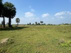 Nilaveli Land for Sale - Trincomalee