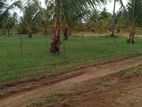 Nilaveli Land for Sale