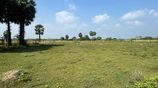 Land for Sale Nilaveli