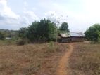 நிலம் விற்பனைக்கு மட்டக்களப்பு
