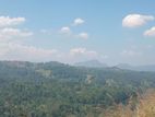 නිල්වන් ඉඩම NiLLBE