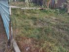 Sainthamaruthu Land Sale