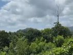 නිරවුල් අනර්ග ඉඩමක් විකිනීමට කහවත්ත