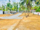 නිරවුල් ඔප්පු සහිත ඉඩමක් විකිණීමට පනාගොඩ