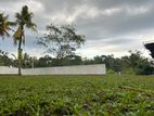 🌿 නිස්කලංක පරිසරයකින් ඔබේ අනාගතයට ඉඩමක්