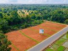 නිස්කලන්ක වටපිටාවක ඉඩම හොරණ