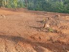 නිස්කලංකව අද්විතීය ඉඩමක් - Walahanduwa