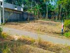 නිසංසල පරිසරයක පිහිටි අගනා ඉඩමක්‌ Ragama