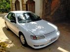 Nissan Bluebird 1994