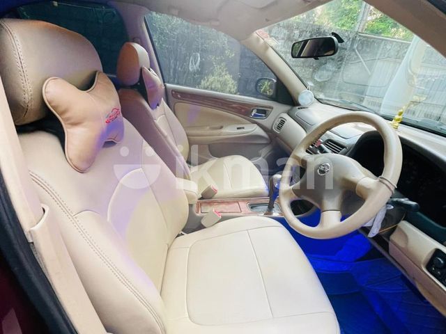 Nissan Bluebird 2004 photo 4