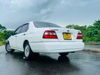 Nissan Bluebird U14 2001